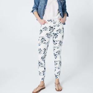 Blue Floral Ankle length Gap khakis ( size 8r )